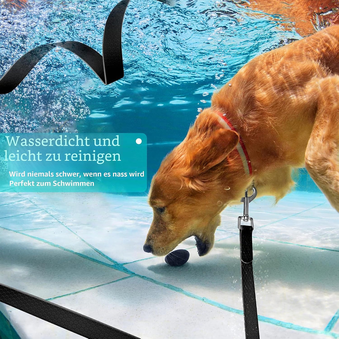 IOKHEIRA Trainingsleine für Hunde, wasserdichte Hundeleine mit Gepolstertem Griff 5m/10m/15m/20m, PV