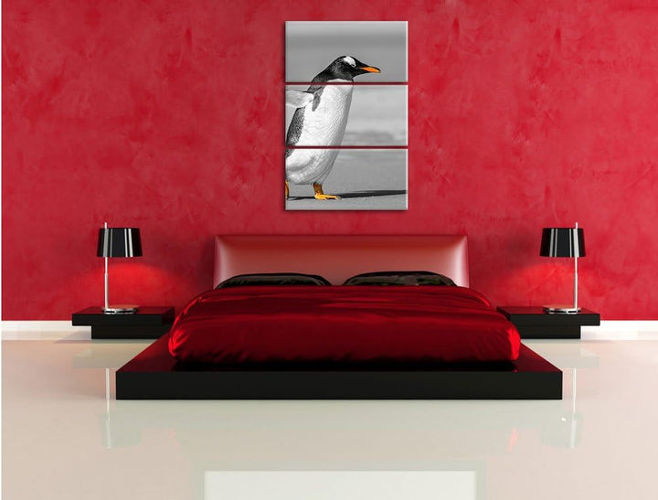 watschelnder Pinguin am Strand schwarz/weiss 3-Teiler Leinwandbild 120x80 Bild auf Leinwand