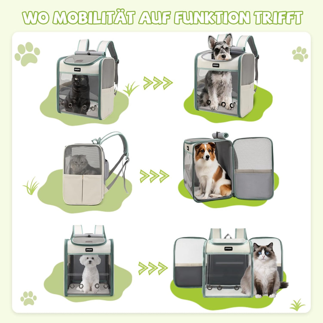ALLSOPETS Katzenrucksack grosse Katzen, Faltbarer Hunde- und Katzen Rucksack, Atmungsaktive Tragetas