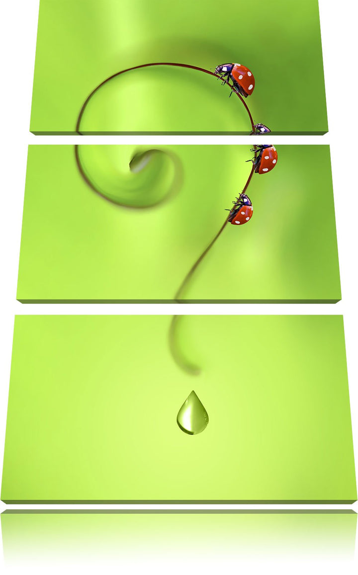 Pixxprint Marienkäfer Folgen dem Fragezeichen 3-Teiler Leinwandbild 120x80 Bild auf Leinwand