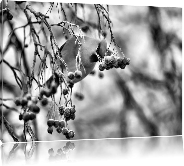 Pixxprint Kleiner Vogel im Vogelbeerbaum / 100x70cm Leinwandbild bespannt auf Holzrahmen/Wandbild Ku