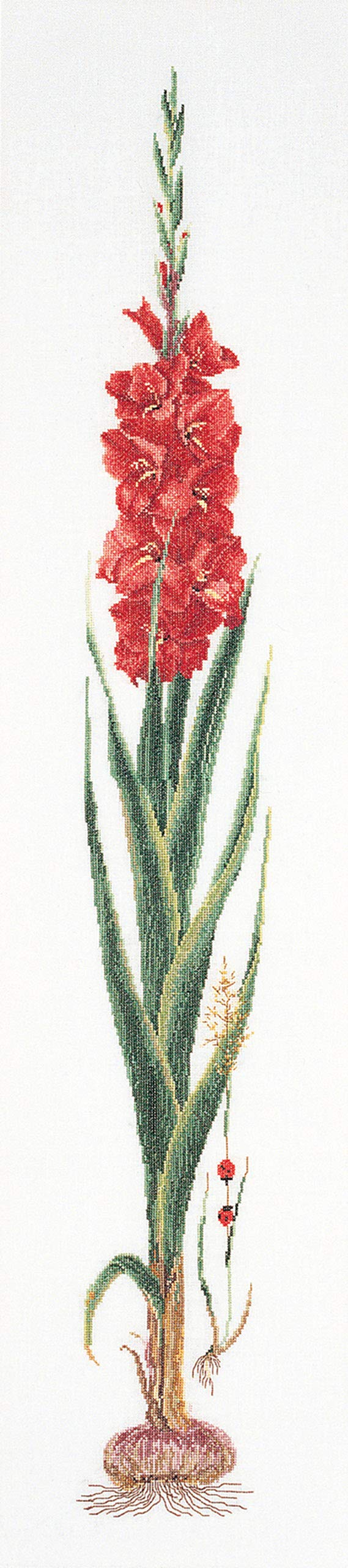 Thea Gouverneur - Kreuzstich-Set - Roter Gladiolus - Aida - 18 Count - Für Erwachsene - 3073A, Roter