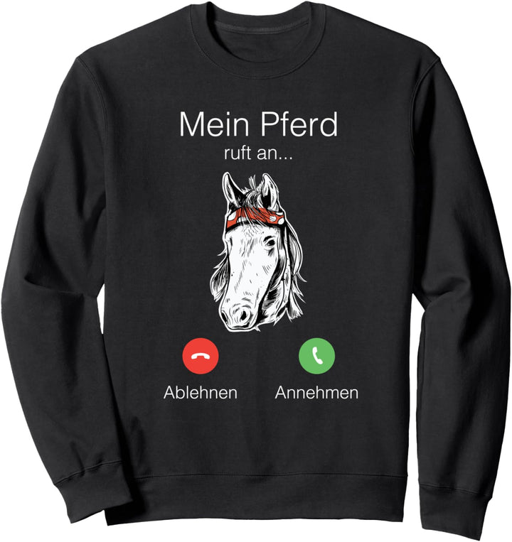 Pferde besitzer Sportpferd reitsport lustiges Sweatshirt