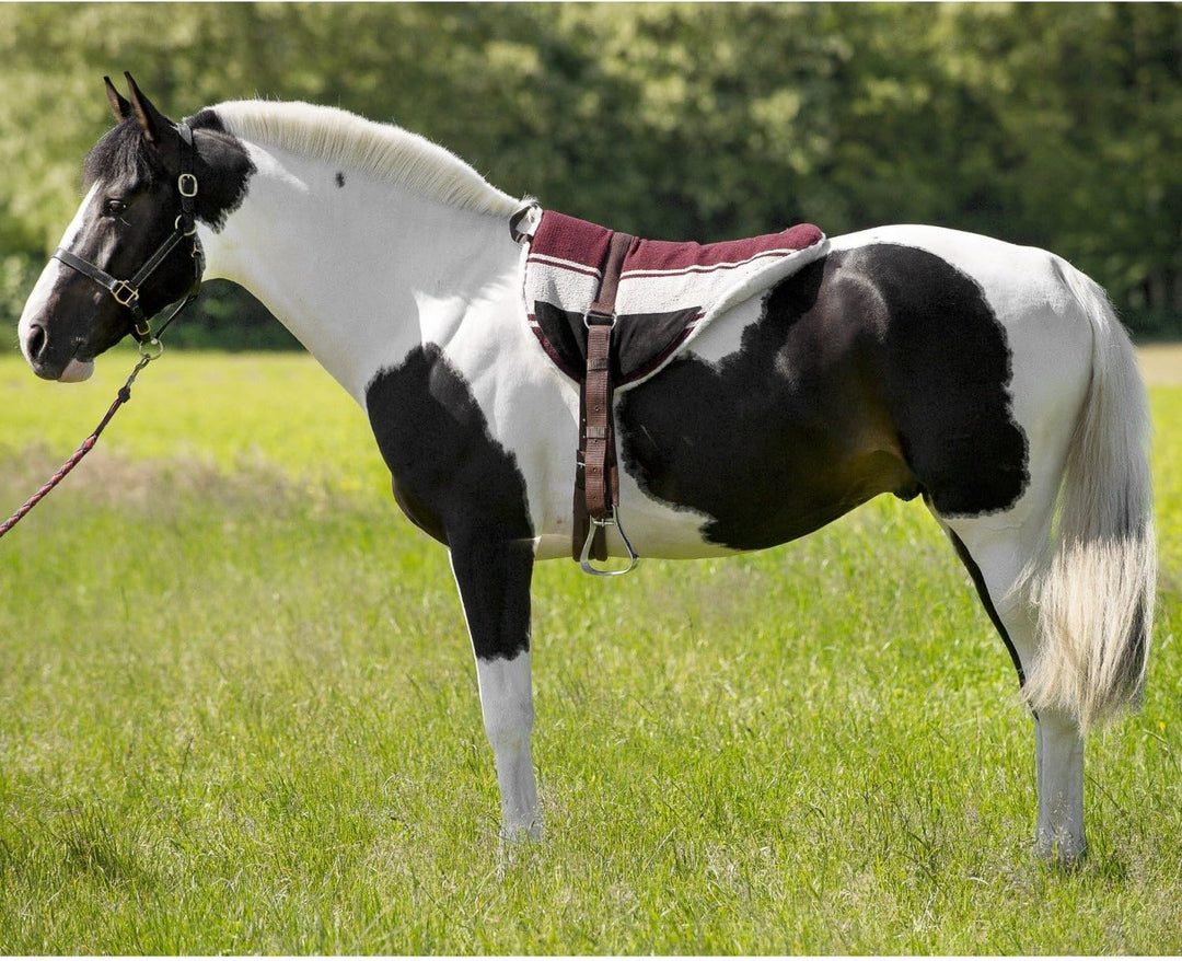 Reitkissen Norton braun/beige