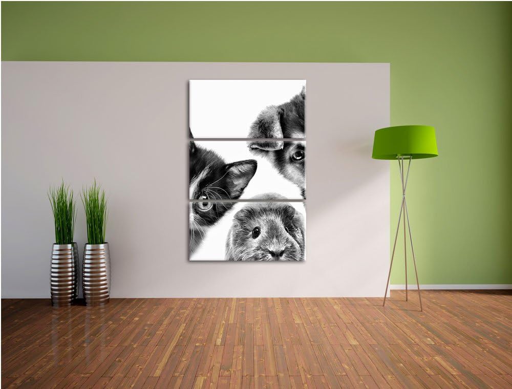 Pixxprint Trio Hund Katze Meerschwein als Leinwandbild/Grösse: 3 Teilig (120x80 cm) cm/Wandbild/Kuns