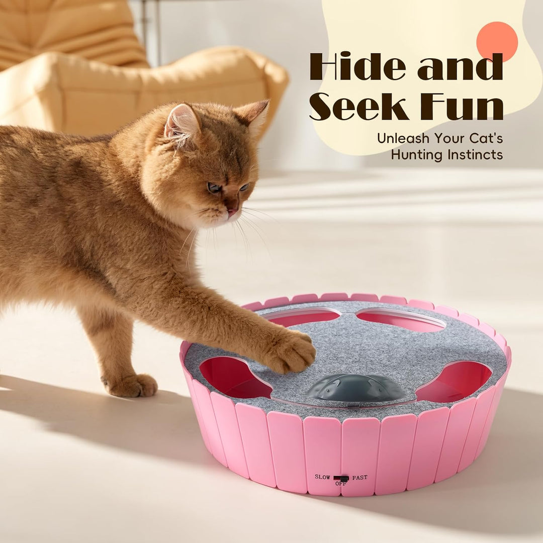 Pawaboo Interaktives Katzenspielzeug mit Bewegter Maus, Elektronisches Versteck- und Suchspiel, Auto