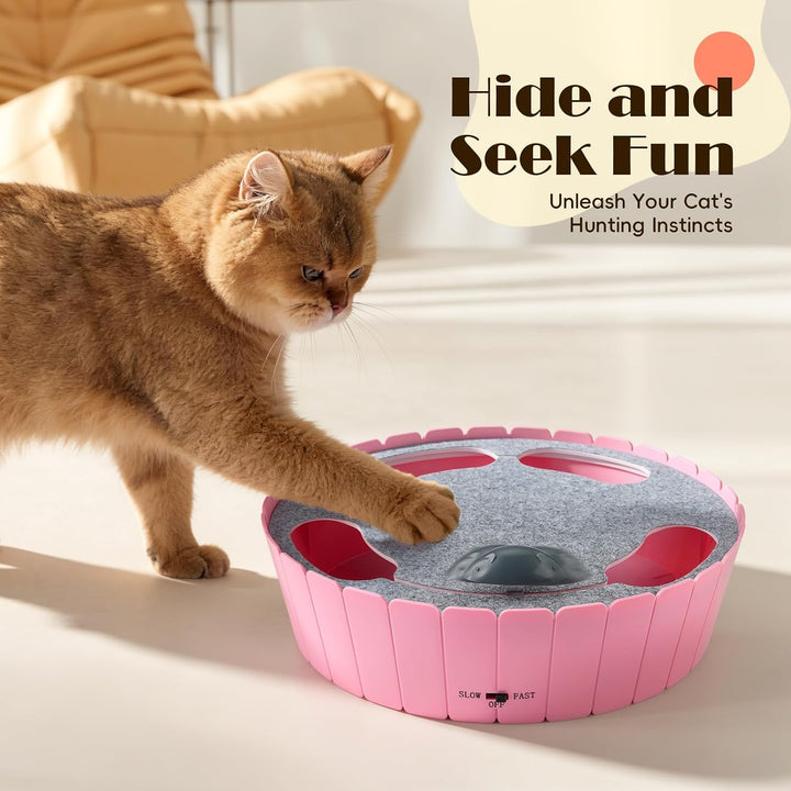 Pawaboo Interaktives Katzenspielzeug mit Bewegter Maus, Elektronisches Versteck- und Suchspiel, Auto
