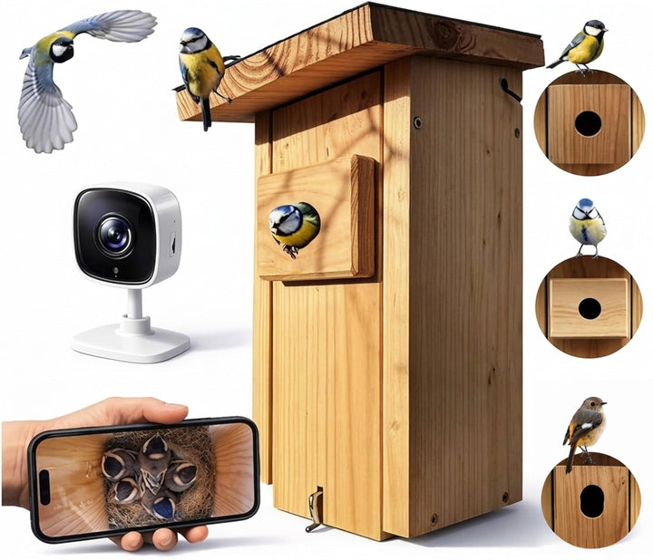 Hochwertiges Vogelhaus (Nistkasten) inklusive Kamera zum Vogel beobachten im Garten/Balkon mit WLAN