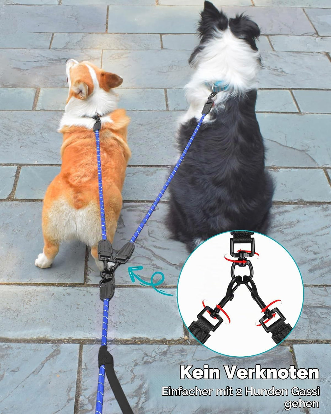 PetBonus Hundeleine Doppelleine für 2 Hunde, Keine Verwicklung Trainingsleine mit Zwei Gepolsterten