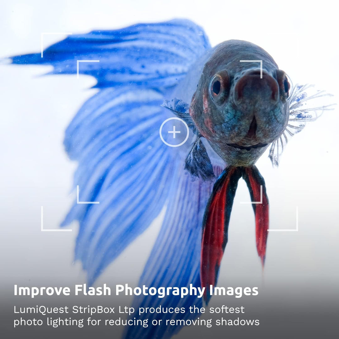 LumiQuest SoftBox & StripBox 2 in 1 Blitzdiffusor Universal Classic Design für Aus-Kamerablitze mit