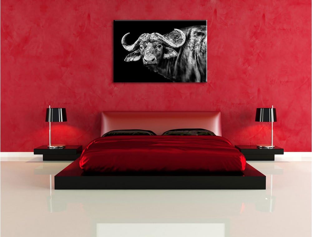 Pixxprint Dark Wasserbüffel als Leinwandbild/Grösse: 100x70 / Wandbild/Kunstdruck/fertig bespannt, 1