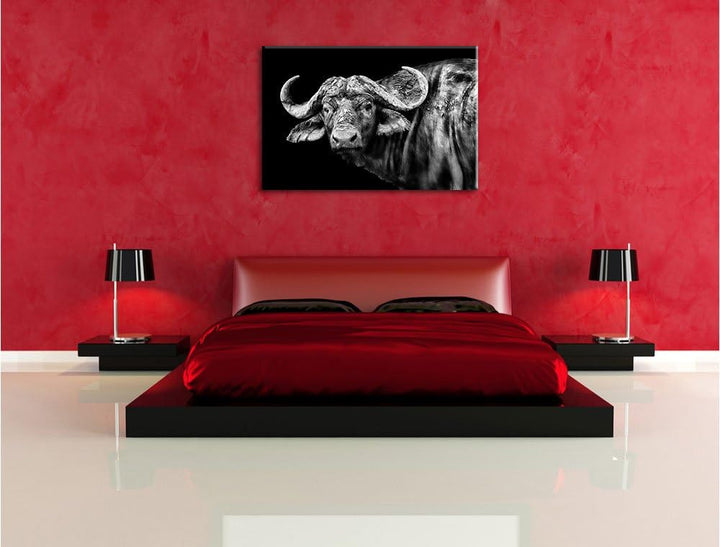 Pixxprint Dark Wasserbüffel als Leinwandbild/Grösse: 100x70 / Wandbild/Kunstdruck/fertig bespannt, 1