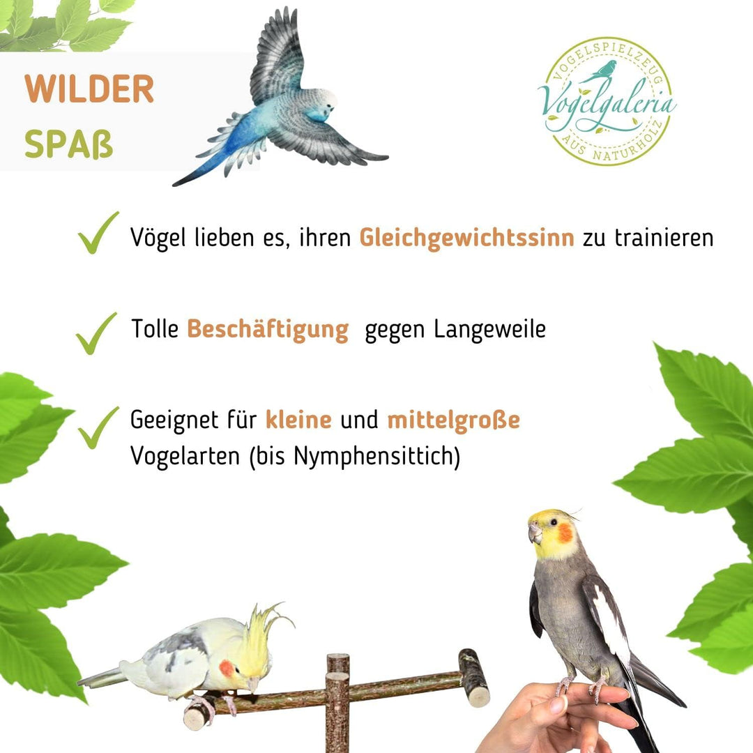 Vogelgaleria® Tolle Vogelwippe BZW. Vogelschaukel aus Naturholz. Handgemacht | Tolles Wellensittich