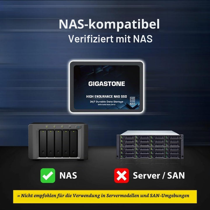 Gigastone NAS SSD 4TB SSD Festplatte (2er-Pack) Hohe Dauerhaltbarkeit SSD für 24/7 Dauerbetrieb NAS-