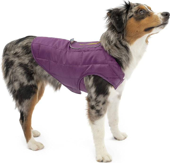 Kurgo Loft Hundejacke, Mit Hundegeschirr kombinierbar, Wasserdicht und reflektierend, Ideal für den