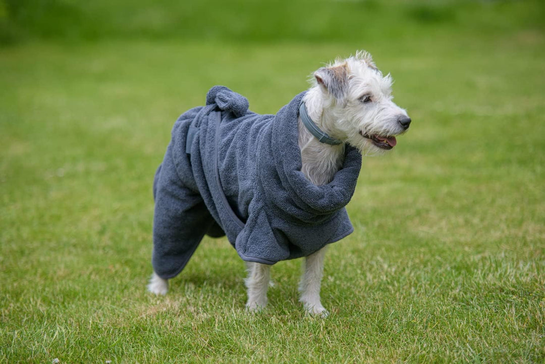 Mount Swiss Hunde Bademantel aus 100% Coresoft Baumwolle I extrem saugfähig und weich I Hunde Handtu
