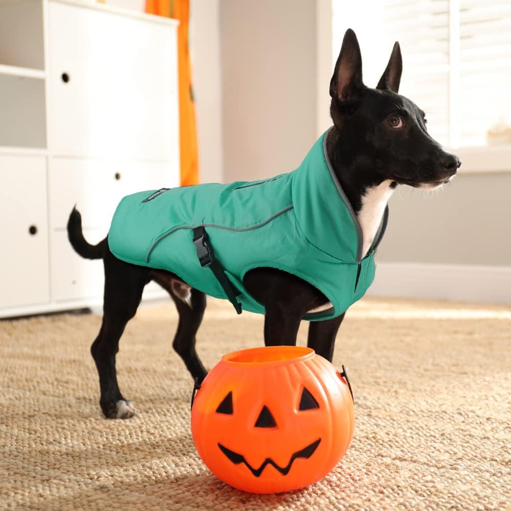 EMUST Hundewintermantel, dicke winddichte Winter-Hundejacke, Haustier-Hundewintermantel für kleine/m