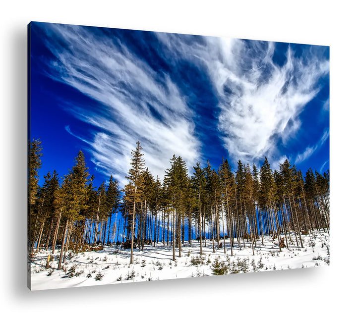 deyoli verschneiter Nadelwald Format: 80x60 als Leinwand, Motiv fertig gerahmt auf Echtholzrahmen, H