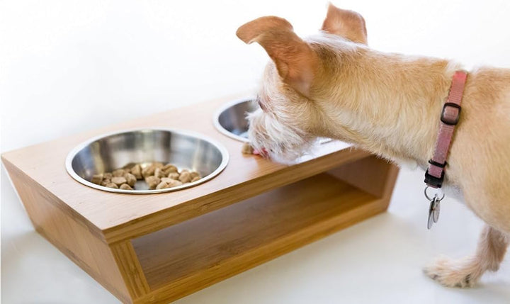 Migosset Futterstation - Erhöhter Futterspender für Katzen & kleine Hunde - Futternapf-Halterung aus