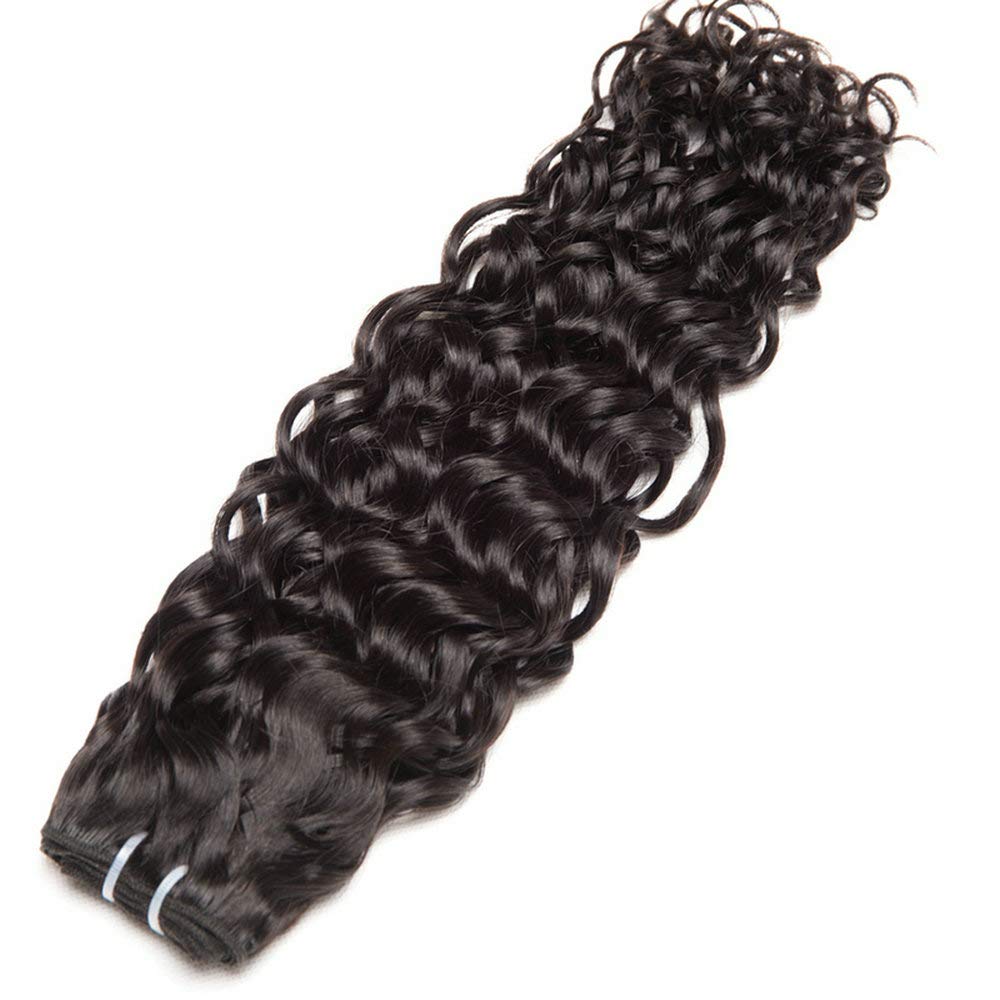 Ladiary Hair Brazilian Hair Bundle Water Wave Human Hair 3 Bundles 12 14 16 Zoll Curly Hair Weave 10