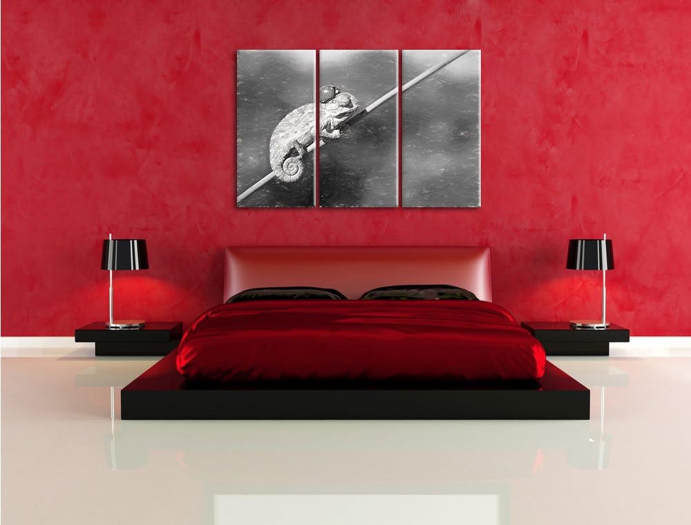 Pixxprint Gecko mit einem Marienkäfer / 3-Teilig/Gesamtmass 120cm Leinwandbild bespannt auf Holzrahm