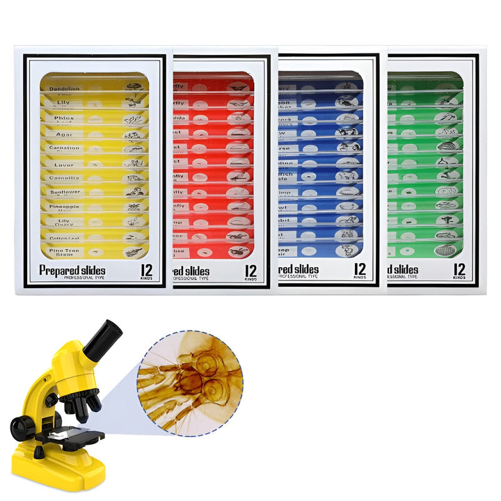 Ninyoon 48pcs Mikroskop Objektträger mit Proben für Kinder - Kinder präpariert Mikroskop Objektträge