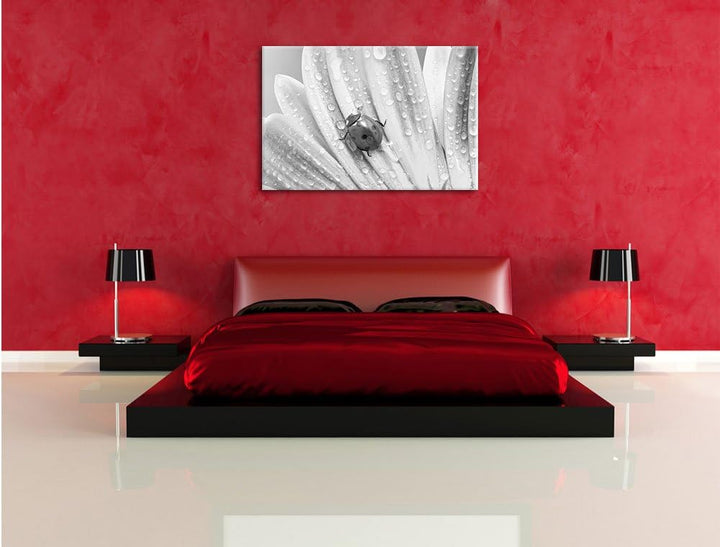 Pixxprint Marienkäfer auf gelber Blume / 100x70cm Leinwandbild bespannt auf Holzrahmen/Wandbild Kuns