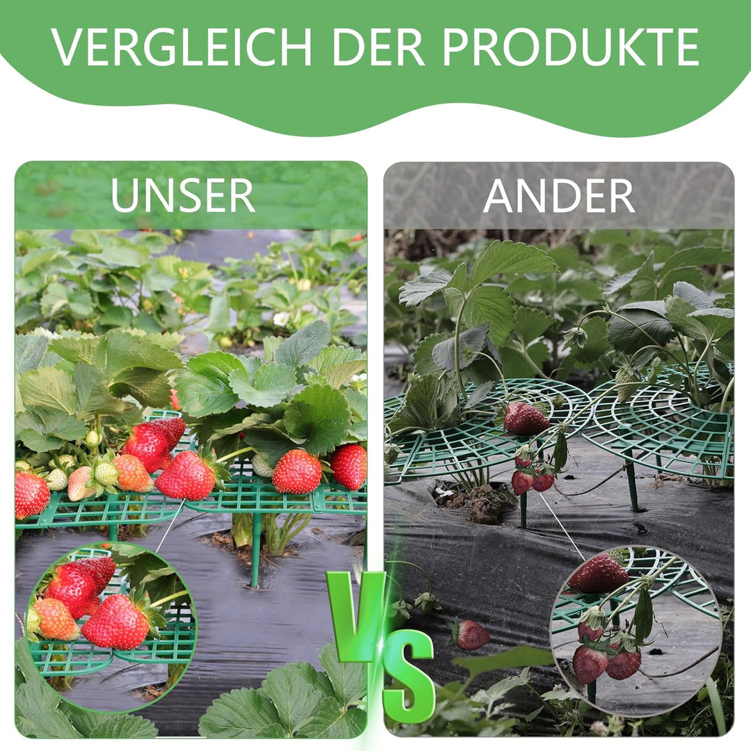 ANGTUO 10 Stück Quadratisch Erdbeerreifer Gartenzubehör Schneckenschutz Erdbeerstützen Schutz Gemüse