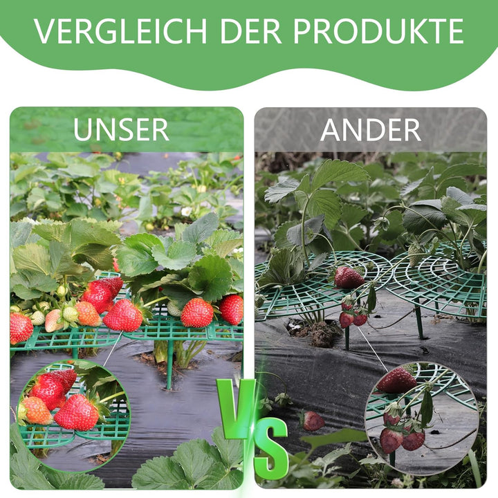 ANGTUO 10 Stück Quadratisch Erdbeerreifer Gartenzubehör Schneckenschutz Erdbeerstützen Schutz Gemüse