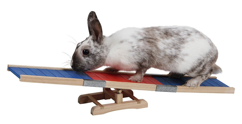 Kerbl 82859 Agility Steilsprung für Nager, 70 x 5 x 35 cm & 82860 Agility Wippe, 60 x 18 x 12 cm