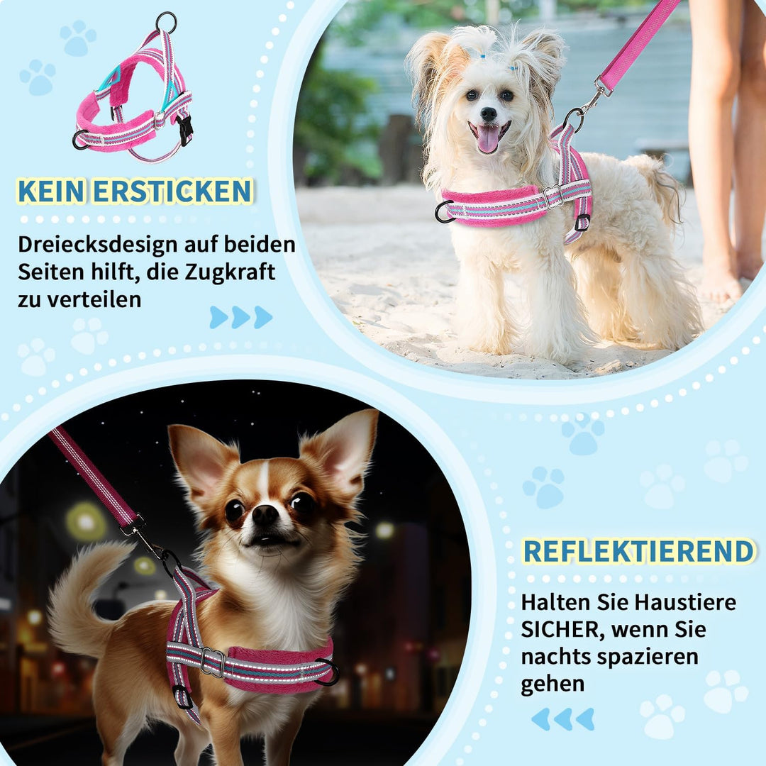 Eyein No-Pull Hundegeschirr mit Leine, Geschirr mit Weich Gepolstertes, Reflektierend, Verstellbares