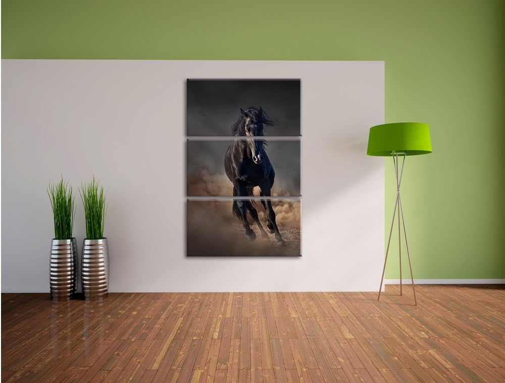 Pixxprint Elegantes schwarzes Pferd Schwarz/Weiss 3-Teiler Leinwandbild 120x80 Bild auf Leinwand