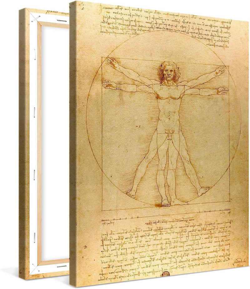 PICANOVA – Leonardo da Vinci – Vitruvian Man 60x80cm – Bild auf Leinwand – Premium Kunstdruck Auf 2c