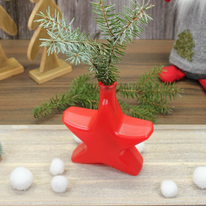 gouveo 6er Set Glasflasche 200 ml Stern rot gefrostet mit Holzgriffkorken - Weihnachtsflasche in Ste