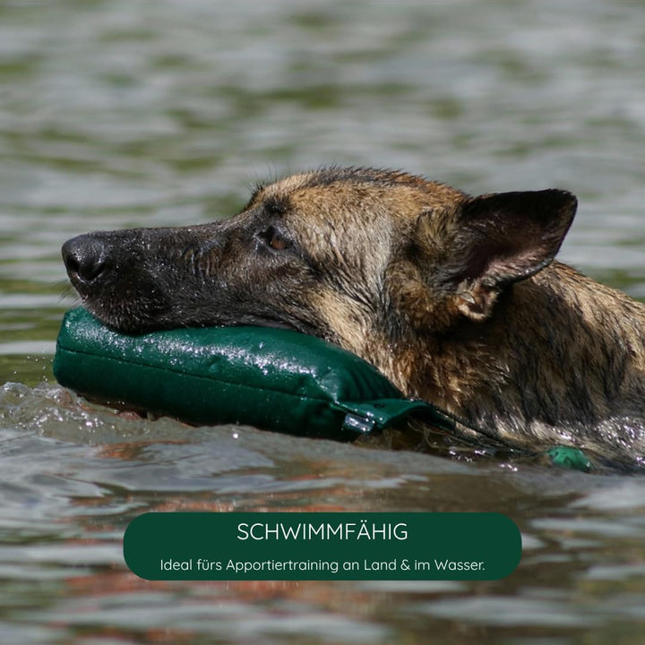 Romneys Hundetraining Dummy 500g - Robust & Schwimmfähig, Apportierprüfungen Zugelassen - Ideal für
