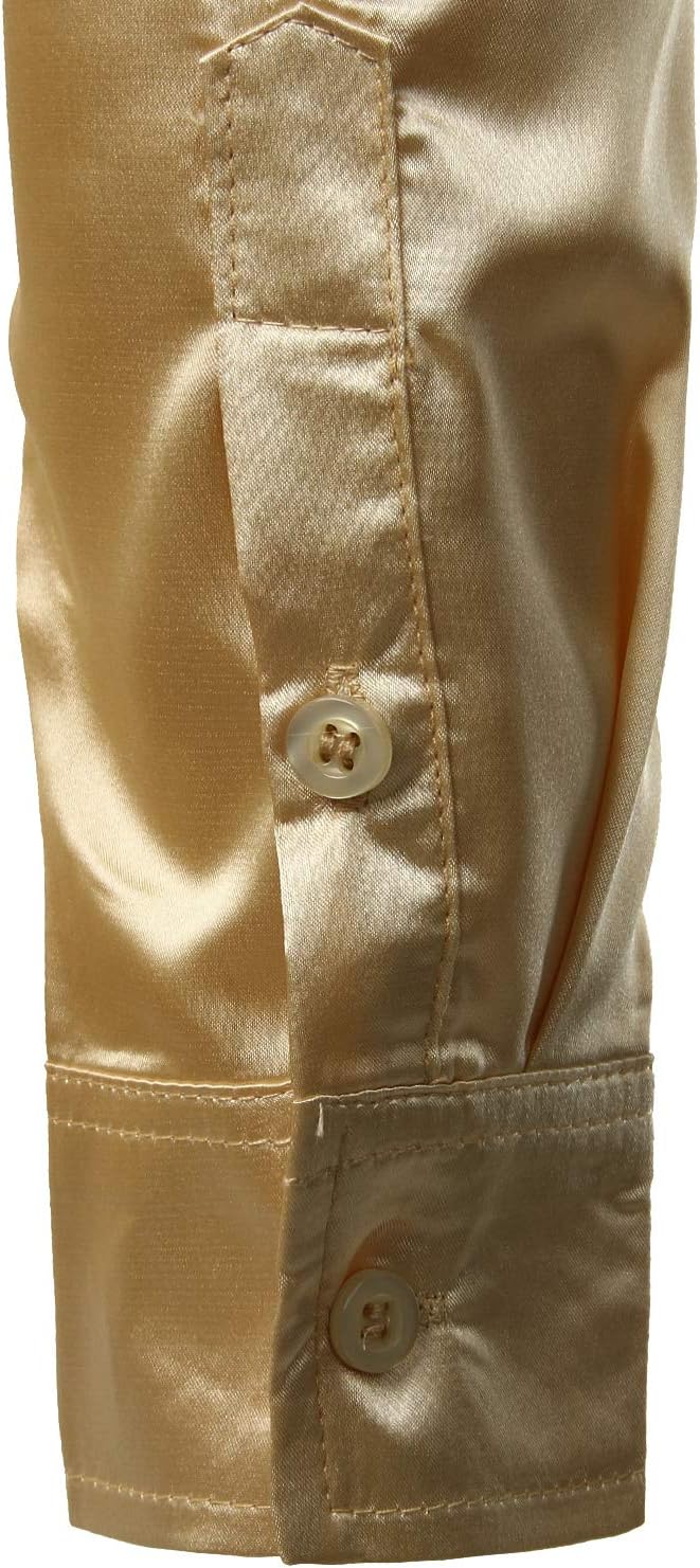 PARKLEES Herren Glänzend Slim Fit Satin Langarmhemd Frezeit Business Hemd für Party Nachtclub S Cham