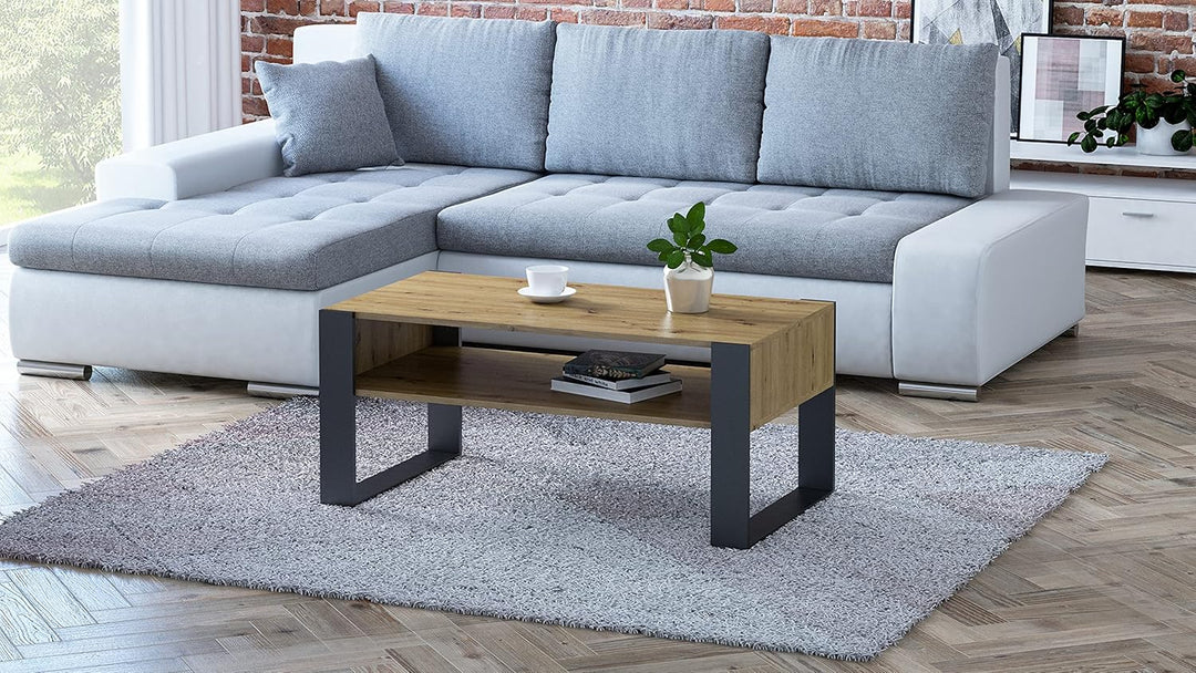 MATKAM Couchtisch KAJA H50 x B100 x T53,6 cm Loft Retro, offene Ablage unter der Tischplatte, Kufenb