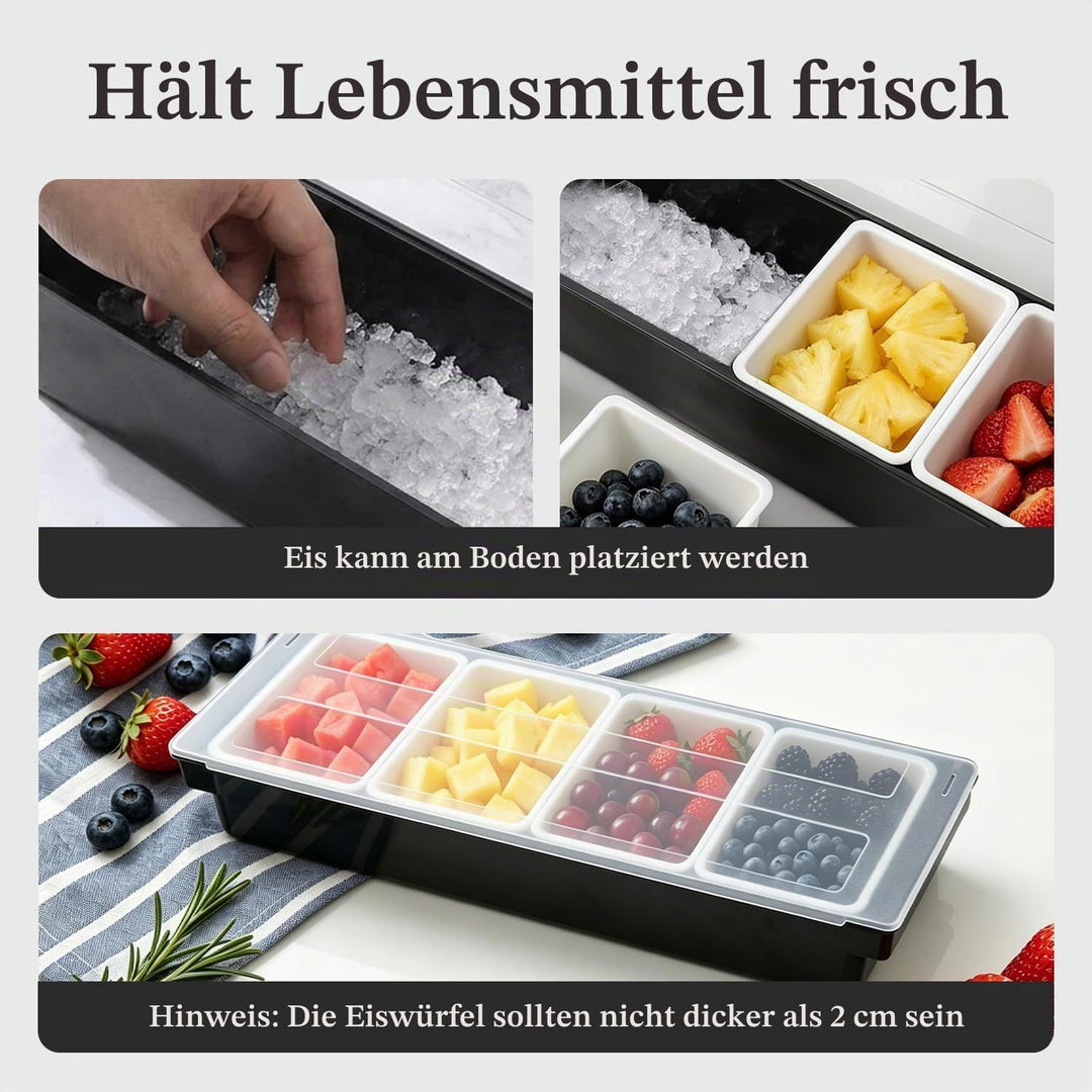 Obst Container Box Eis Party Servier Bar Eisgekühlter Gewürzspender mit Transparentem Deckel, Würzmi