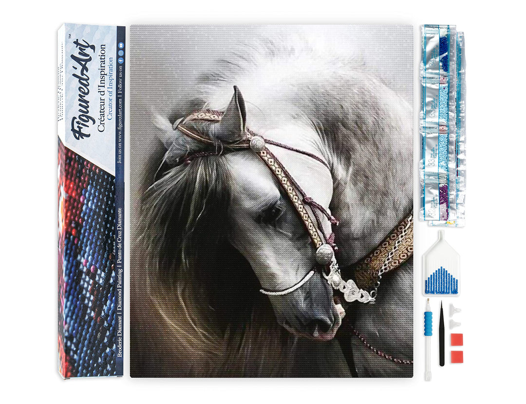 Figured'Art Diamond Painting Erwachsene 40x50cm Ganze Leinwand gerollt Grosses Pferd 5D Bilder Eckig