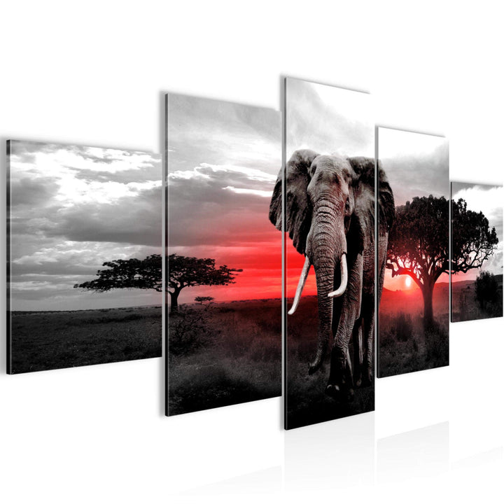 Runa Art Bild Wohnzimmer Schlafzimmer Afrika Elefant 5 Teilig Savanne Grau Rosa Wandbilder auf Vlies