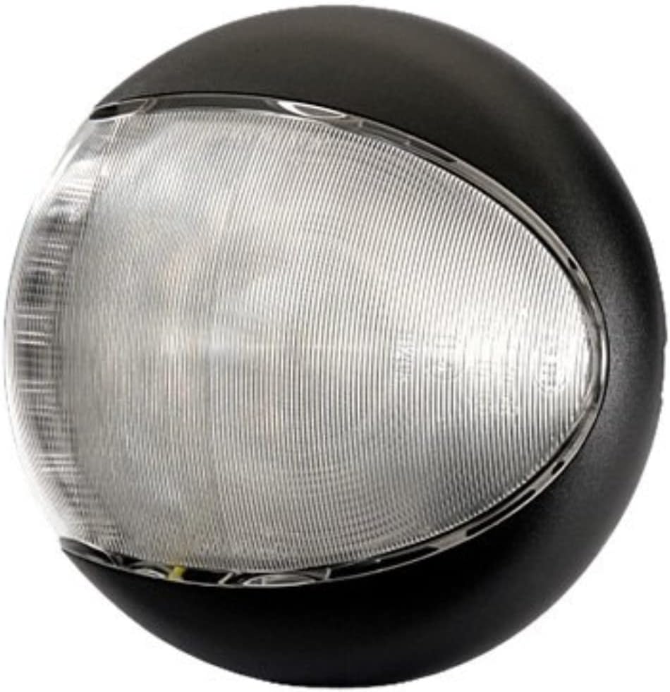 HELLA - LED-Rückfahrscheinwerfer - EuroLED - 24/12V - Anbau - 2-Punkt Befestigung - Kabel: 2500mm -