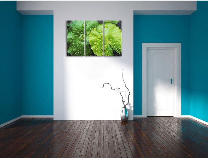 Pixxprint die Blätter mit den Wassertropfen Kunst Buntstift Effekt 3-Teiler Leinwandbild 120x80 Bild