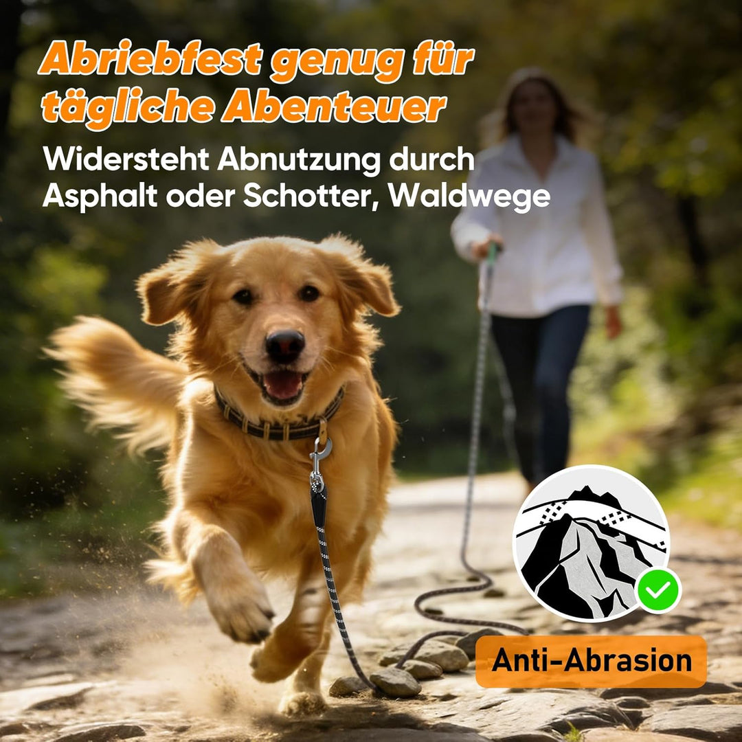 Aystkniet Schleppleine für Hunde, 5M 10M 15M 20M 30M Lange schleppleine mit 2 Wirbelhaken, Trainings