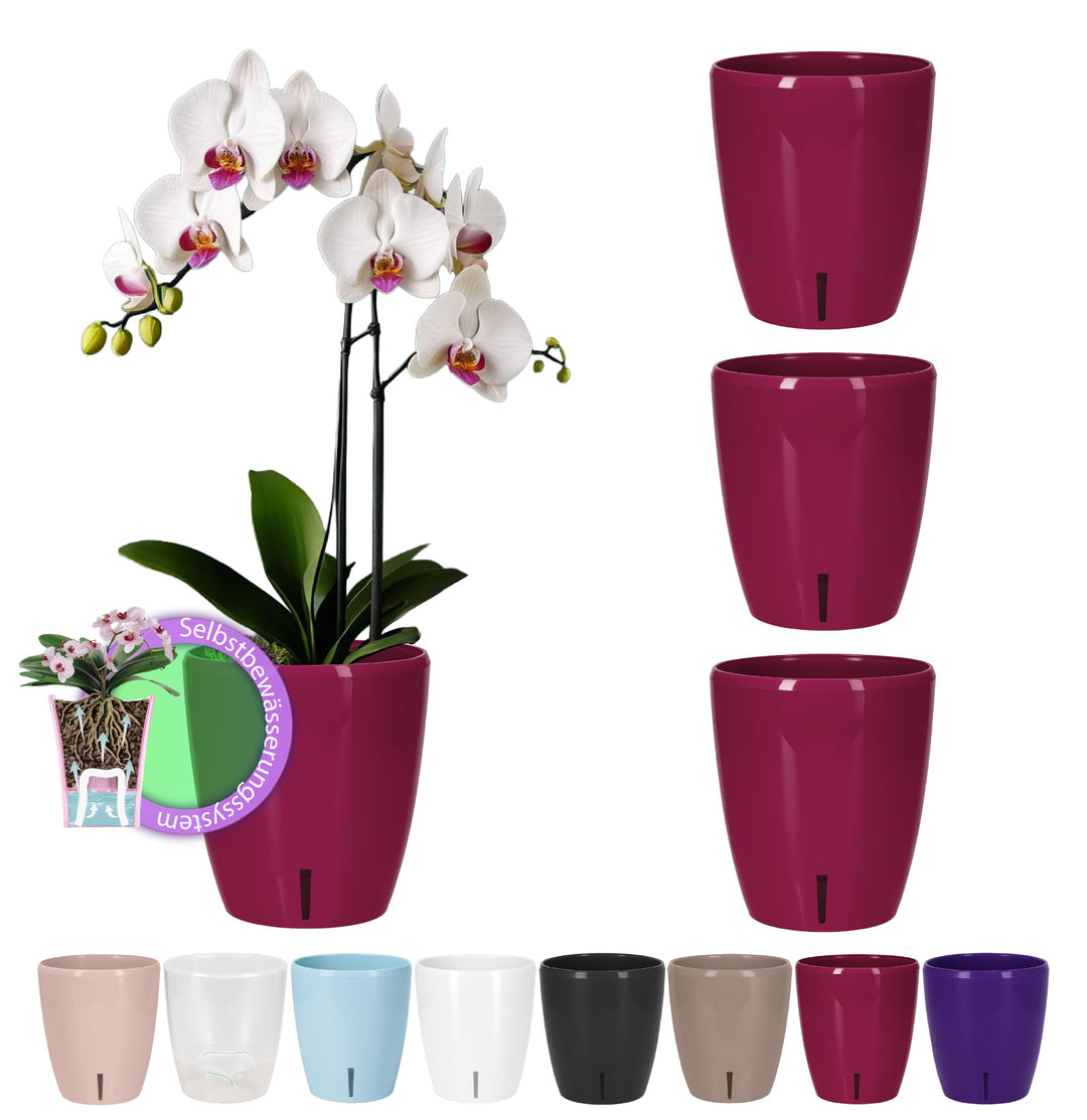 Santino 4er-Set Orchideentopf D 12cm Selbstbewässernder Topf mit Dochtsystem und Wasserstandsanzeige