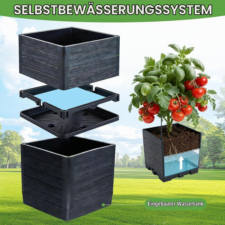 BRGD 2 Pack Selbstbewässerung Tomatentopf mit Rankhilfe, Pflanzkübel Pflanzenstütze für den Anbau vo