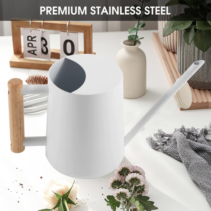 Giesskanne Zimmerpflanzen, 1000ml Metall Edelstahl Giesskanne Kleine Moderne Bewässerung Topf mit la