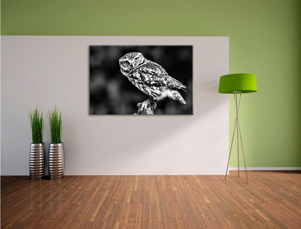 Monocrome, kleine Eule, Format: 100x70 auf Leinwand, XXL riesige Bilder fertig gerahmt mit Keilrahme