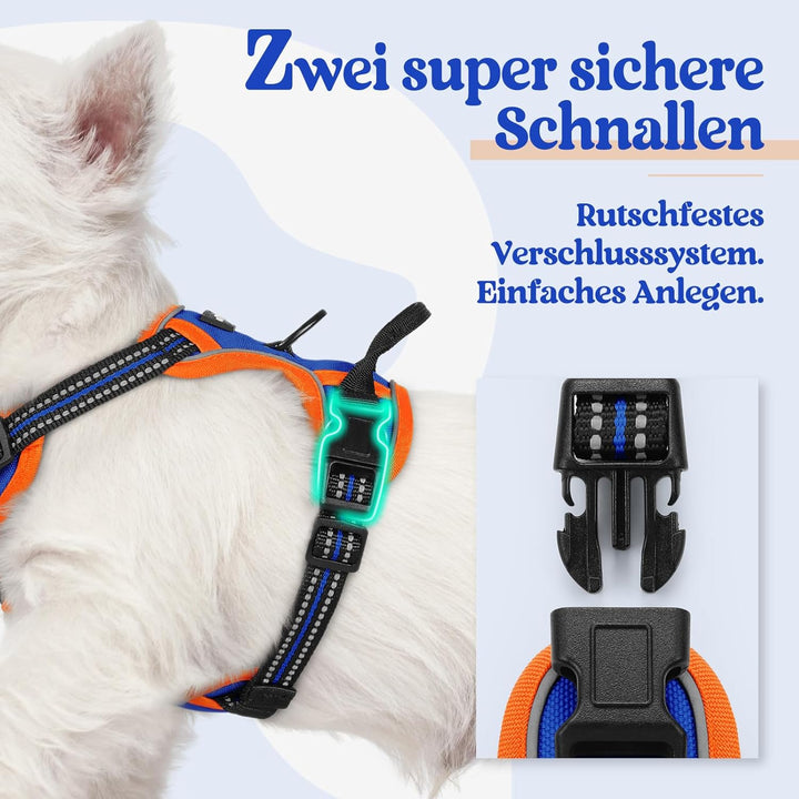 rabbitgoo Hundegeschirr Kleine Hunde Anti Zug Geschirr Hund mit Kontrolle No Pull Verstellbar Hundeg