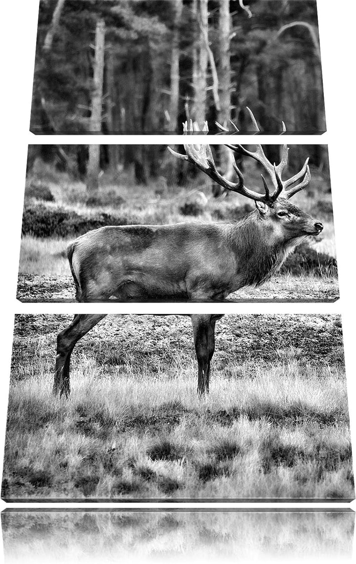 Pixxprint Monocrome, Hirschfamilie auf herbstlicher Waldlichtung 3-Teiler Leinwandbild 120x80 Bild a