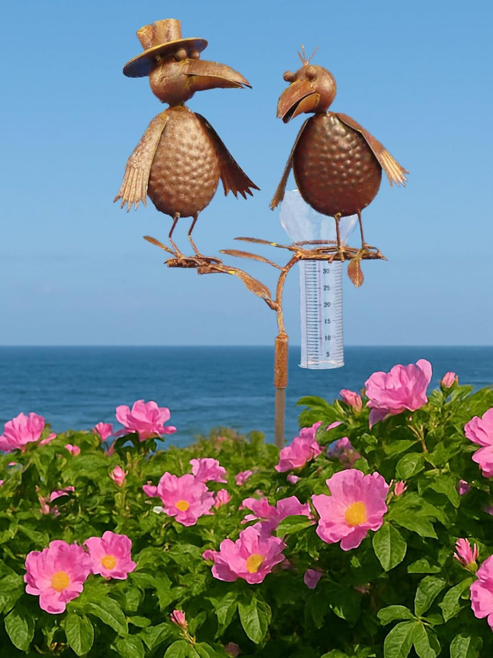 Pommerntraum ® | Regenmesser Niederschlagsmesser Pluviometer Gartenstecker Wetterstation Meisenknöde